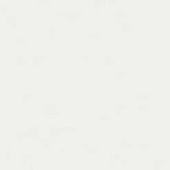 A.S. Creation Meistervlies | 103819 | Papier Peint Intissé Enduit | 0.53 M X 10.05 M | Blanc