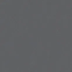 A.S. Creation Boys & Girls 6 | 309549 | Papier Peint Intissé Uni | 0.53 M X 10.05 M | Gris