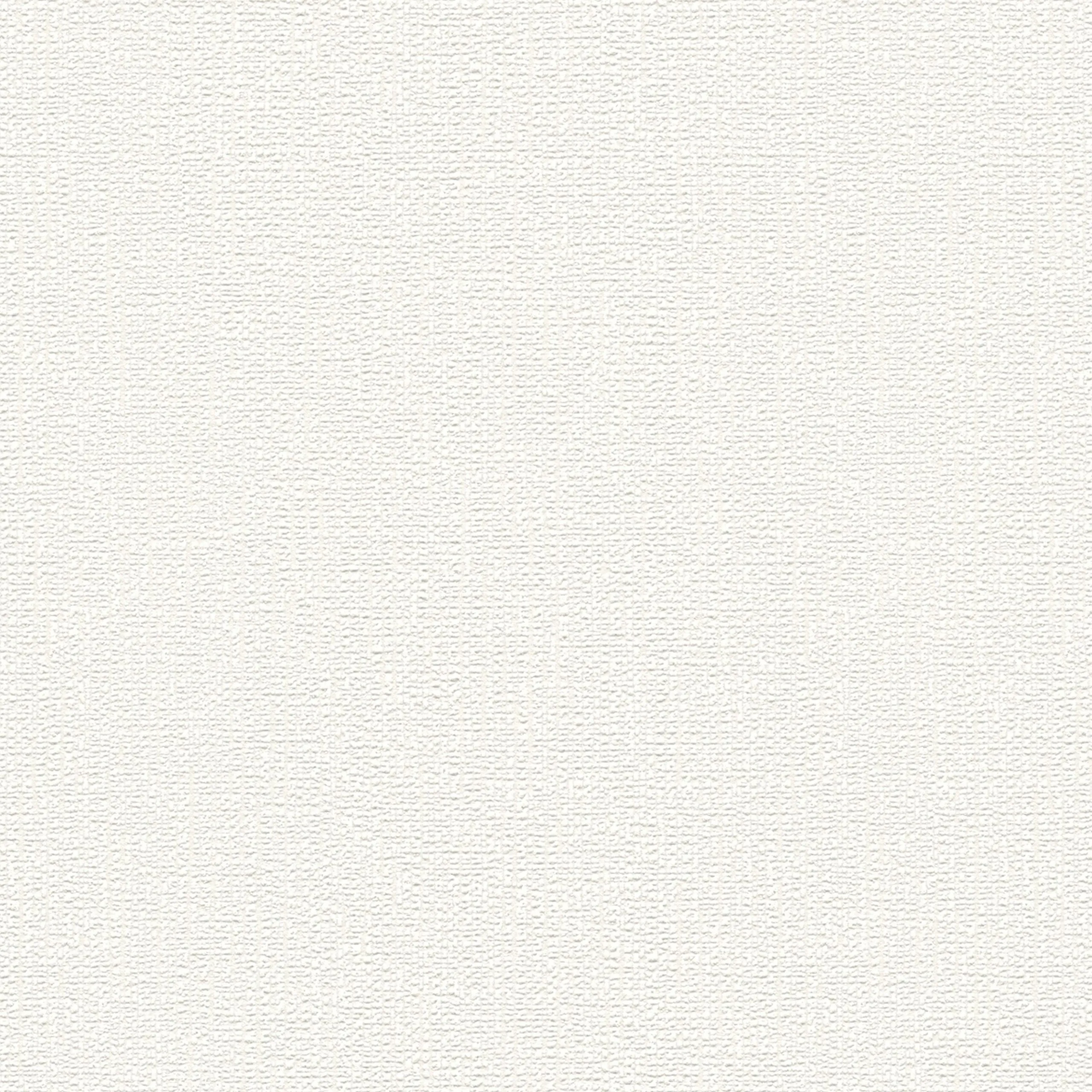 A.S. Creation Boys & Girls 6 | 359702 | Papier Peint Papier Uni | 0.53 M X 10.05 M | écru 3 A.S. Creation Boys & Girls 6 | 359702 | Papier Peint Papier Uni | 0.53 M X 10.05 M | écru