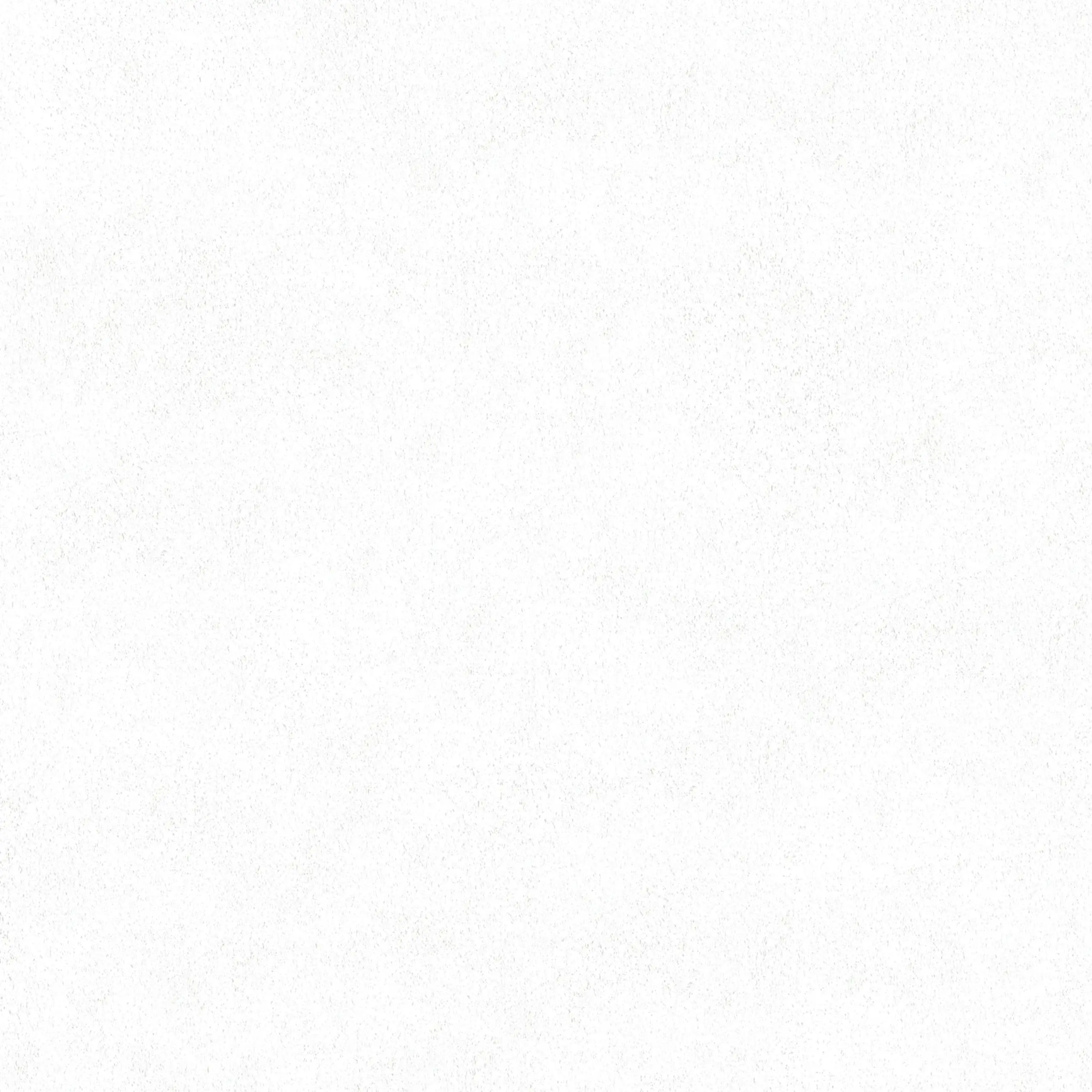 A.S. Creation Elements | 362066 | Papier Peint Intissé Uni | 0.53 M X 10.05 M | Blanc 3 A.S. Creation Elements | 362066 | Papier Peint Intissé Uni | 0.53 M X 10.05 M | Blanc