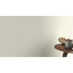 Rasch Unsere Besten 2022 | 424034 | Papier Peint Intissé Uni | 0.53 M X 10.05 M | écru -Fond D'écran Soldes 424034 room 3