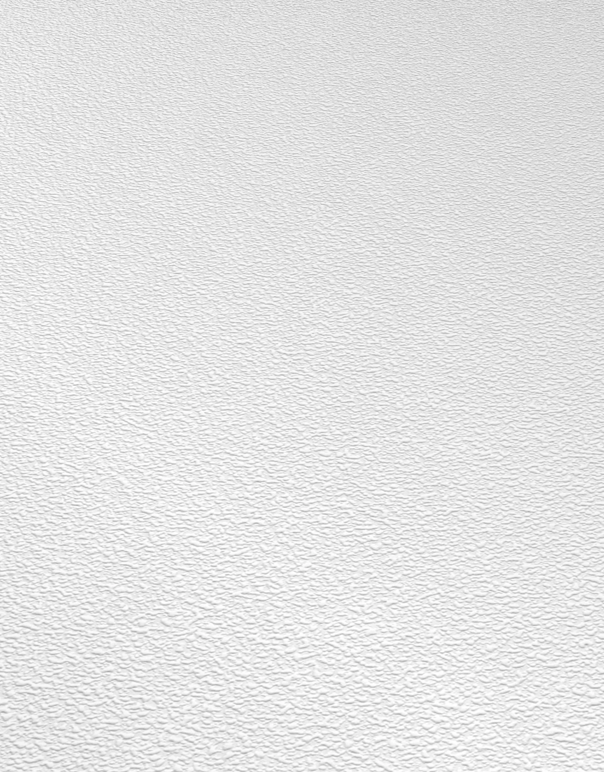 Erismann RollOver 2021 | 535910 | Papier Peint Intissé Enduit | 0.53 M X 10.05 M | Blanc 4 Erismann RollOver 2021 | 535910 | Papier Peint Intissé Enduit | 0.53 M X 10.05 M | Blanc – Image 2