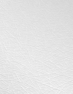 Erismann RollOver 2021 | 536810 | Papier Peint Intissé Uni | 0.53 M X 10.05 M | Blanc