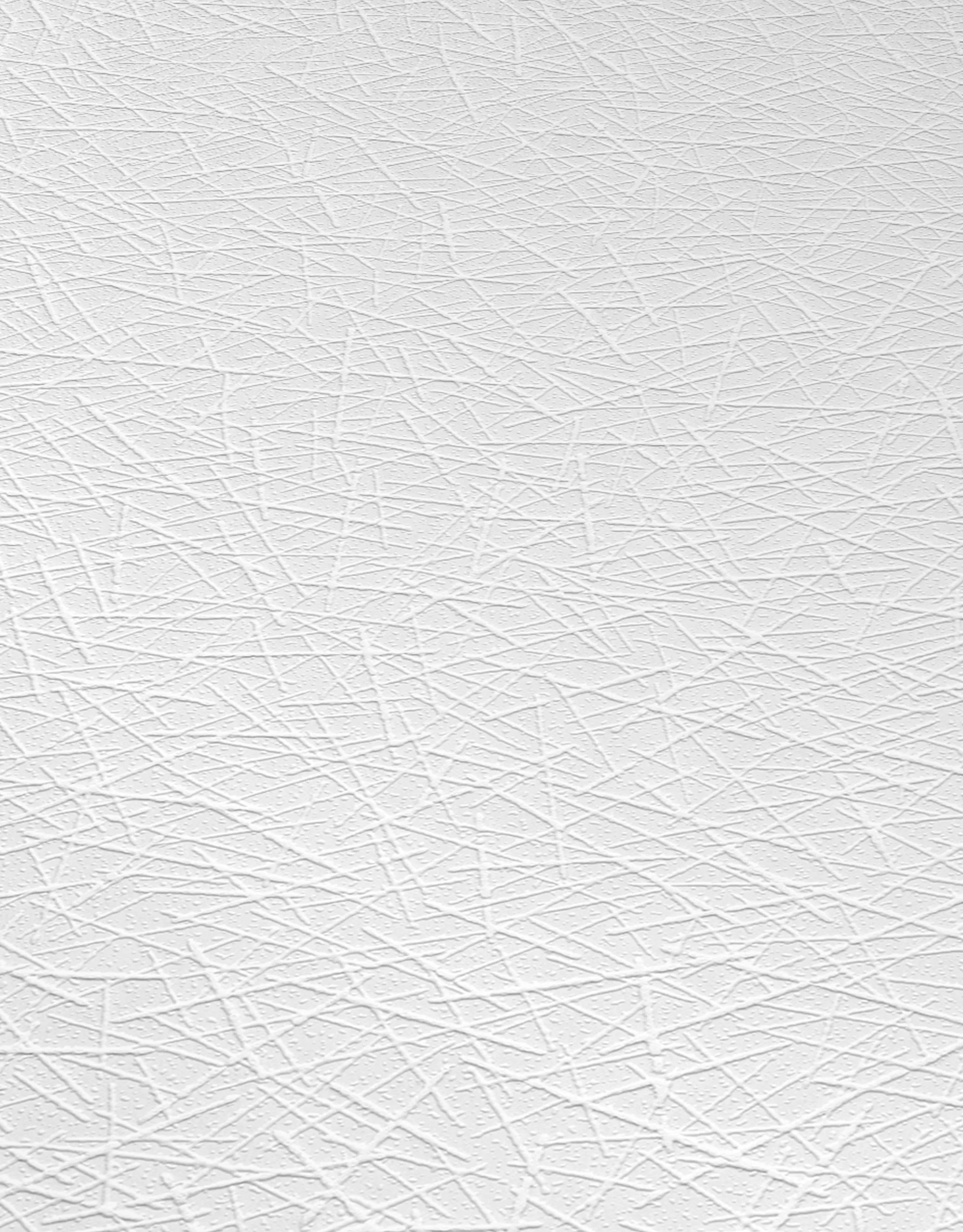 Erismann RollOver 2021 | 536810 | Papier Peint Intissé Uni | 0.53 M X 10.05 M | Blanc 3 Erismann RollOver 2021 | 536810 | Papier Peint Intissé Uni | 0.53 M X 10.05 M | Blanc