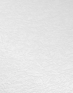 Erismann RollOver 2021 | 536910 | Papier Peint Intissé Enduit | 0.53 M X 10.05 M | Blanc 8 Erismann RollOver 2021 | 536910 | Papier Peint Intissé Enduit | 0.53 M X 10.05 M | Blanc -Fond D'écran Soldes 536910 3