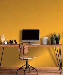 Erismann RollOver 2021 | 538010 | Papier Peint Intissé à Rayures | 0.53 M X 10.05 M | Blanc 9 Erismann RollOver 2021 | 538010 | Papier Peint Intissé à Rayures | 0.53 M X 10.05 M | Blanc -Fond D'écran Soldes 538010 1