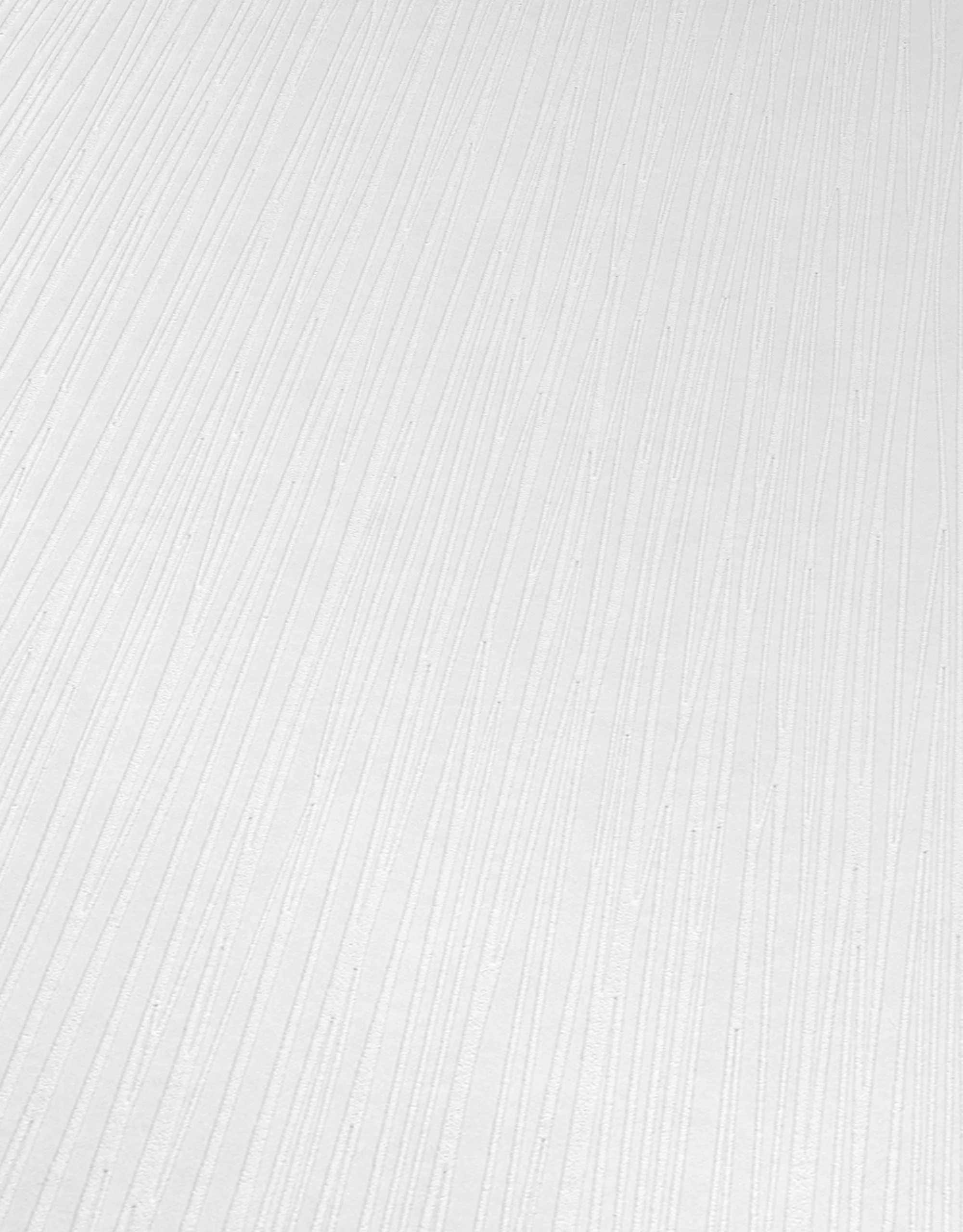 Erismann RollOver 2021 | 538010 | Papier Peint Intissé à Rayures | 0.53 M X 10.05 M | Blanc 4 Erismann RollOver 2021 | 538010 | Papier Peint Intissé à Rayures | 0.53 M X 10.05 M | Blanc – Image 2