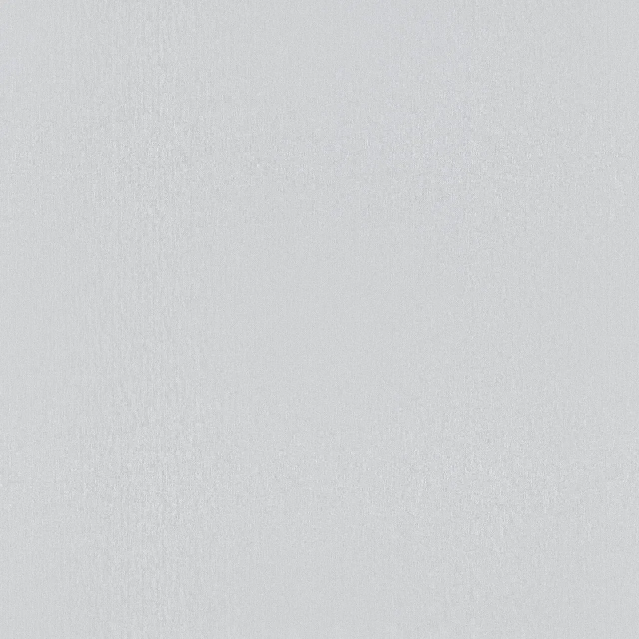 Erismann Palais Royal | 6381-31 | Papier Peint Intissé Uni | 0.53 M X 10.05 M | Gris 3 Erismann Palais Royal | 6381-31 | Papier Peint Intissé Uni | 0.53 M X 10.05 M | Gris